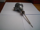 Photography of Temperature Probes